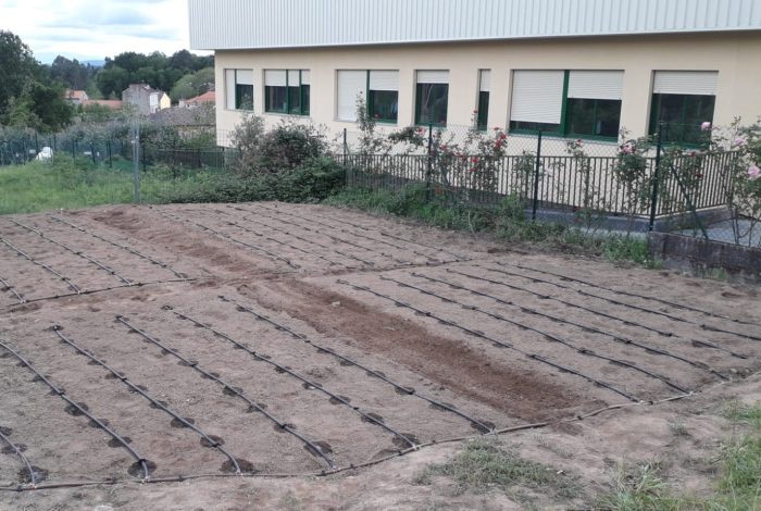 Huerto escolar en colegio